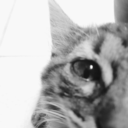 blackinlovered avatar