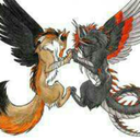 blackjack19-blog1 avatar