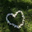 blackkittyv-blog avatar