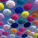 blackmagic918-blog avatar