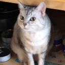 blackmagicandcoffee avatar