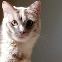 blackmagicengineer avatar