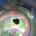 blackmagicfae avatar