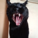 blackmaiden13 avatar