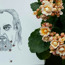 blackmarpizan avatar