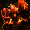 blackmetalfest avatar