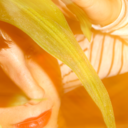 blackofcourse avatar