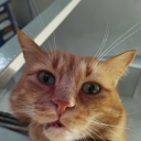 blackpanther-35 avatar