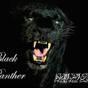 blackpanther2013 avatar