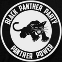 blackpantherblog avatar