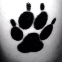 blackpaws2007 avatar