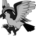 blackpidgeot avatar