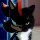 blackpupik avatar