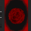 blackrabbit23 avatar