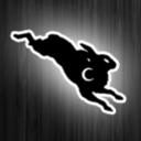 blackrabbitcollective avatar