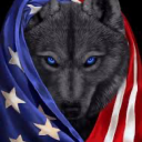 blackroninwolf avatar