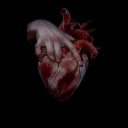 blackrose0801 avatar