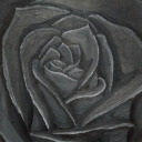 blackrose2023 avatar