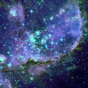 blackroseforfatality avatar