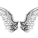 blackroseonmytableisdying avatar