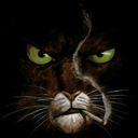 blacksad avatar