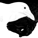 blacksheepwhitecrow-comic avatar