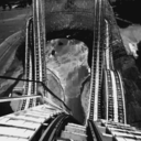 blacksideofwhite avatar