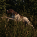 blacksmiths-boy avatar