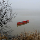 blackswampbastard avatar