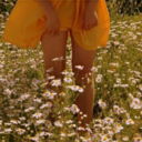 blackswanballad avatar