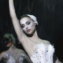 blackswanblog avatar