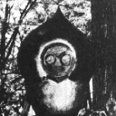 blacktailedfawn avatar