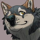 blacktailwolf avatar