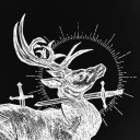 blackterrored avatar