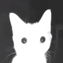 blackthorngirl avatar