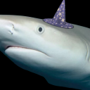 blacktipreefsharkwizarding avatar