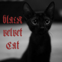 blackvelvetcats avatar