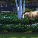 blackwater-estate-de avatar