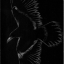 blackwinged-soul avatar