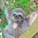 blackwithavengeance avatar