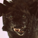 blackwolf avatar