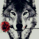 blackwolf305 avatar