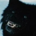 blackwolfdragon avatar