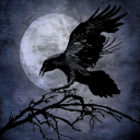 blackwoodcrow avatar