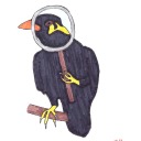 blacky-ermittelt avatar