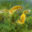 blame-my-muses avatar