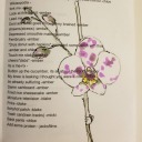 blame-the-braces avatar