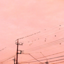 blameryko-blog avatar