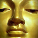 blameyoufornothing avatar