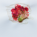 blanc-fantome avatar